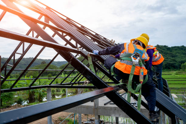 Best Metal Roofing Contractor  in Kyle, TX