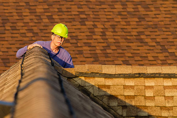 Roof Gutter Cleaning in Kyle, TX